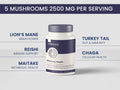 Premium Organic Mushroom Multi-Complex Gummies for Memory and Focus